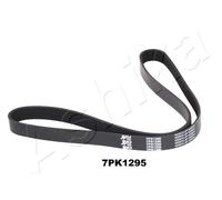 1 CINGHIA POLY-V ASHIKA 1127PK1295 112-7PK1295