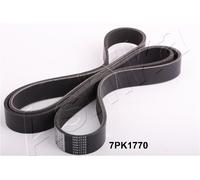 1 CINGHIA POLY-V ASHIKA 1127PK1770 112-7PK1770