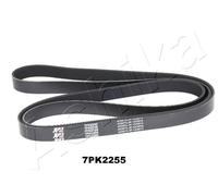 1 CINGHIA POLY-V ASHIKA 1127PK2255 112-7PK2255