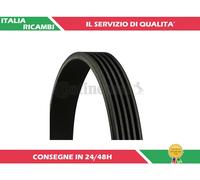 1 CINGHIA POLY-V CONTITECH 5PK813