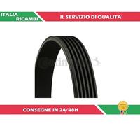 1 CINGHIA POLY-V CONTITECH 6PK2260