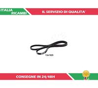 1 CINGHIA TRAPEZOIDALE ASHIKA 109-13X1525