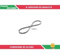 1 CINGHIA TRAPEZOIDALE ASHIKA 109-13X880