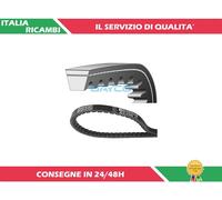 Cinghia trapezoidale DAYCO 10A1225C