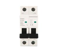 1 coppia 2P DC 32A Mini interruttore automatico 600V MCB, 16A 20A 25A 40A 50A 63A Interruttore solare for impianto fotovoltaico(63A)