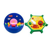 1 Dettagliato Animale Cellula Vegetale Anatomia Modello Biologia Aula Strumento di insegnamento per Laboratorio & Studio Scuola Scienza Educazione Strumenti