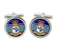 1 Distintivo Aeromedical Evacuation Squadron RAF Gemelli, In Scatola