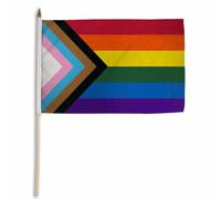 1 Dozzina Progress Pride 30.5x45.7cm Bastone Bandiera Palmare Arcobaleno Lgbt