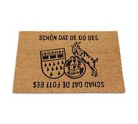 1.FC Köln Zerbino in cocco