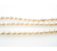 1 FILO PERLE ROSA MEDIO/PICCOLE SCARAMAZZE DA MOLLUSCO 9X7 MM.