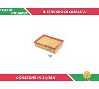 1 FILTRO ARIA ASHIKA 20-0W-W15