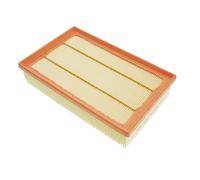 1 FILTRO ARIA BLUE PRINT ADN12255 ADN12255