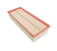 BLUE PRINT ADV182204 Filtro aria motore Cartuccia filtro senza prefiltro