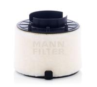 1 FILTRO ARIA MANN-FILTER C17009 C 17 009