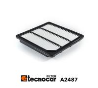1 FILTRO ARIA TECNOCAR A2487 A2487