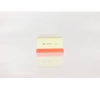 1 FILTRO ARIA WIX FILTERS WA6787 WA6787