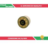 1 FILTRO CARBURANTE ASHIKA 30-02-200