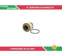 1 FILTRO CARBURANTE ASHIKA 30-ECO038