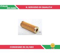 1 FILTRO CARBURANTE ASHIKA 30-ECO079
