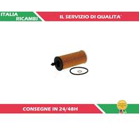 1 FILTRO OLIO ASHIKA 10-ECO141