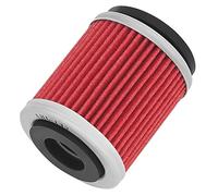 1 filtro olio for moto for AG200 TW200 TW125 TT350 TTR125LE TTR225 TTR230 YJ125 XT225 YFM250 YFM230 XC125TR(1 PC)