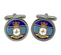 1 Gemelli Air Mobility Wing RAF In Confezione