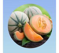 1 grammo di melone Charentais - varietà tradizionale francese, polpa arancione intensa, sapore dolce e profumato - per coltivare il sole