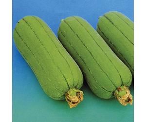 1 grammo Semi di Sette Felicità Luffa