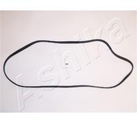 1 GUARNIZIONE COPERCHIO PUNTERIE ASHIKA 4701104 47-01-104
