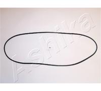 1 GUARNIZIONE COPERCHIO PUNTERIE ASHIKA 4702213 47-02-213