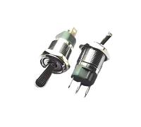 1 interruttore a pulsante in metallo a 3 pin, 2 velocità, 10 A, alta corrente, con leva luminosa, braccio oscillante autobloccante, a levetta, apertura 16 mm