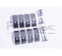 1 KIT BRONZINE DI BANCO RED-LINE 02DA004 02DA004