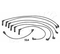 1 KIT CAVI ACCENSIONE ASHIKA 13205514 132-05-514