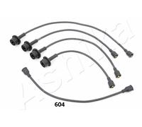 1 KIT CAVI ACCENSIONE ASHIKA 13206604 132-06-604