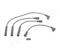 1 KIT CAVI ACCENSIONE ASHIKA 13206608 132-06-608