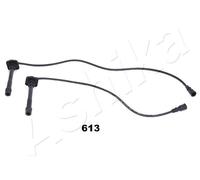 1 KIT CAVI ACCENSIONE ASHIKA 13206613 132-06-613