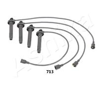 1 KIT CAVI ACCENSIONE ASHIKA 13207713 132-07-713