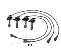1 KIT CAVI ACCENSIONE ASHIKA 13207715 132-07-715