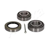 1 KIT CUSCINETTO RUOTA POSTERIORE ASHIKA 4420060 44-20060