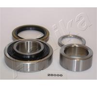 1 KIT CUSCINETTO RUOTA POSTERIORE ASHIKA 4428000 44-28000