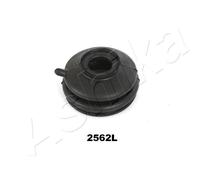 1 KIT RIPARAZIONE TESTA BRACCIO ANTERIORE ASHIKA GOM2562 GOM-2562