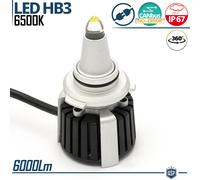 1 Lampadina Full LED HB3 al Quarzo CANBUS Luce Fari 360° Potente Bianc 6500K 55W