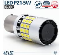 1 Lampadina LED P21/5W BAY15D NO ERRORI Super CANbus Luce Bianca Potente 3600LM