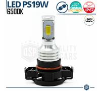 1 Lampadina LED PS19W CANbus Professionale Luce BIANCA Intensa 6500K Plug & Play