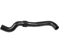 1 MANICOTTO RADIATORE SUPERIORE GATES 3779 3779