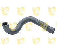 1 MANICOTTO RADIATORE SUPERIORE UNIGOM O8740 O8740