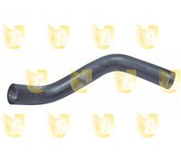 1 MANICOTTO RADIATORE SUPERIORE UNIGOM P2060 P2060