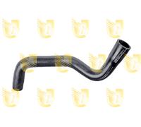 1 MANICOTTO RADIATORE SUPERIORE UNIGOM R4440 R4440