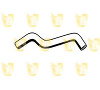 1 MANICOTTO RADIATORE SUPERIORE UNIGOM S2339 S2339