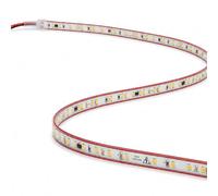 1 Metro Striscia Led 220V AC IP65, Lunghezza Personalizzabile, Bianco Freddo 6000K, 10W/M 120 SMD/M 1250 LM/M, Tagliabile Ogni 10cm, Biadesivo Rosso Forte, 10X5mm, Angolo 180°, Guaine Trasparente